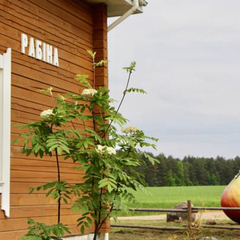 Туркомплекс Кветки Яблыни, Минская область