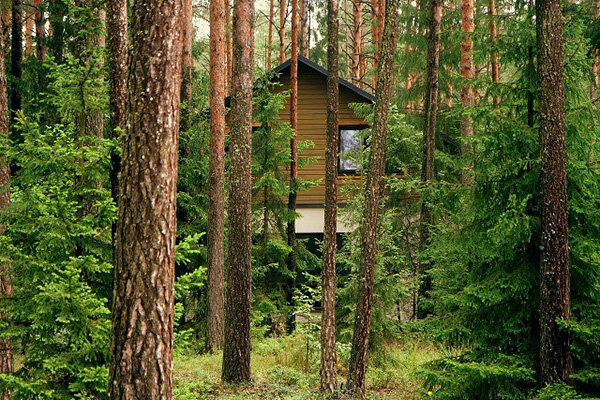 Спрятанный в лесу гостевой дом