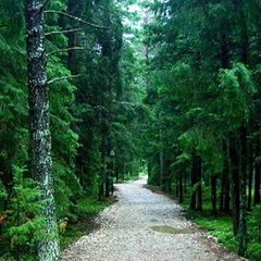 Спортивно-оздоровительный комплекс Ислочь-парк, Минская область