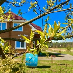 Туркомплекс Кветки Яблыни, Минская область