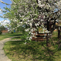Туркомплекс Кветки Яблыни, Минская область