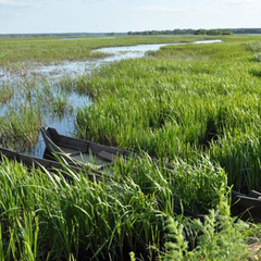 Туркомплекс Кветки Яблыни, Минская область