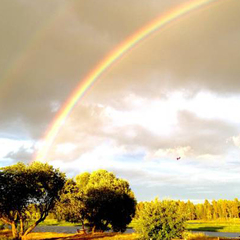 Туркомплекс Кветки Яблыни, Минская область