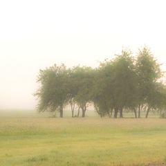 Туркомплекс Кветки Яблыни, Минская область