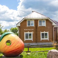 Туркомплекс Кветки Яблыни, Минская область
