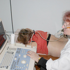 Санаторий Берестье, Брестская область