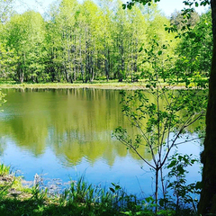 Санаторий Радуга, Гродненская область