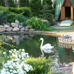 Санаторий Солнечный берег, Гомельская область