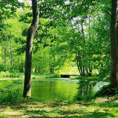 Санаторий Радуга, Гродненская область