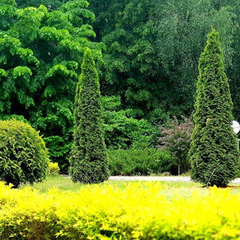 Санаторий Радуга, Гродненская область