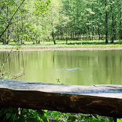 Санаторий Радуга, Гродненская область