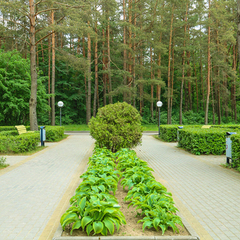 Санаторий Радуга, Гродненская область