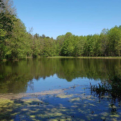 Санаторий Радуга, Гродненская область