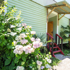 База отдыха Золотая бухта, Пицунда