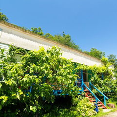 База отдыха Золотая бухта, Пицунда