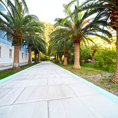 Пансионат Кавказ, Гагра