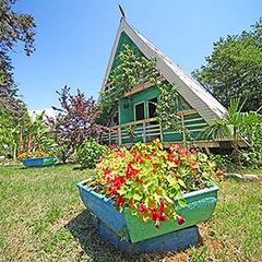 База отдыха Золотая бухта, Пицунда