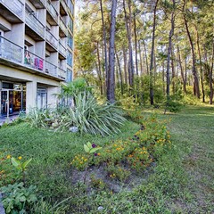 Пансионат Пицунда, Пицунда