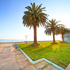 Пансионат Кавказ, Гагра