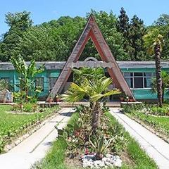 База отдыха Золотая бухта, Пицунда