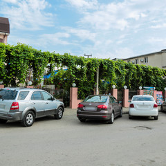 Отель Абхаз-Лео (бывш. Лоза), Гагра