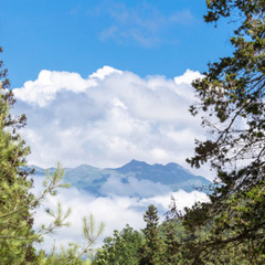 База отдыха Золотая бухта, Пицунда