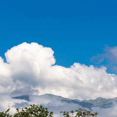 База отдыха Золотая бухта, Пицунда