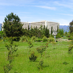 Санаторий Самшитовая роща, Пицунда