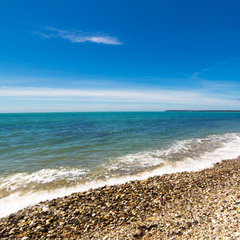 База отдыха Золотая бухта, Пицунда