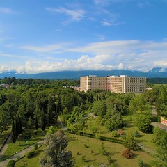 Санаторий Самшитовая роща, Пицунда