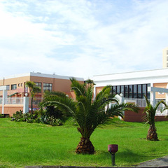 Санаторий Самшитовая роща, Пицунда