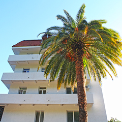 Дом отдыха Колхида, Гагра