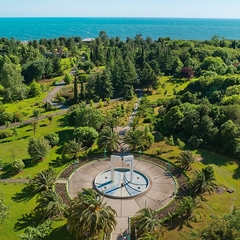 Санаторий Самшитовая роща, Пицунда