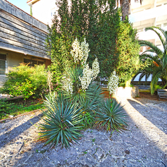 Дом отдыха Колхида, Гагра