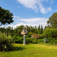 Санаторий Самшитовая роща, Пицунда