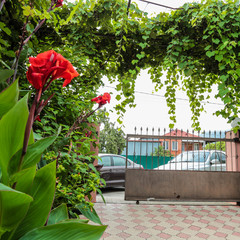 Отель Абхаз-Лео (бывш. Лоза), Гагра