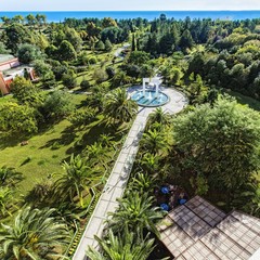 Санаторий Самшитовая роща, Пицунда