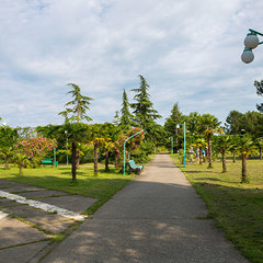 Санаторий Самшитовая роща, Пицунда