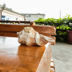 Отель Абхаз-Лео (бывш. Лоза), Гагра