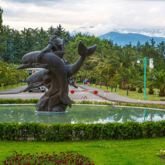 Санаторий Самшитовая роща, Пицунда