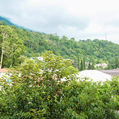 Отель Абхаз-Лео (бывш. Лоза), Гагра