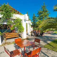 Санаторий Самшитовая роща, Пицунда