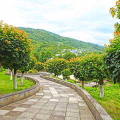 Дом отдыха Солнечный, Гагра