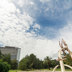 Пансионат Пицунда, Пицунда