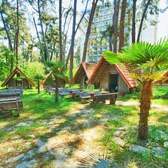 Пансионат Пицунда, Пицунда