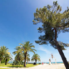 Пансионат Пицунда, Пицунда