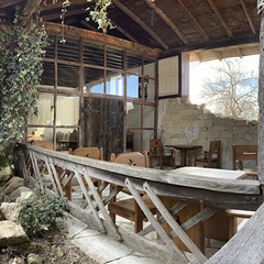 Санаторий Самшитовая роща, Пицунда