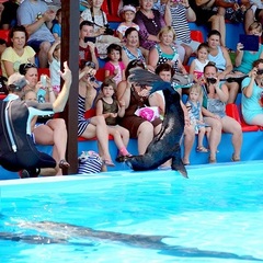 Пансионат Пицунда, Пицунда