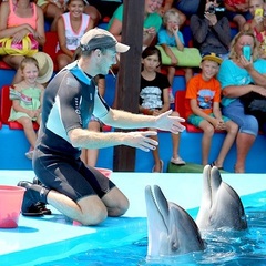 Пансионат Пицунда, Пицунда