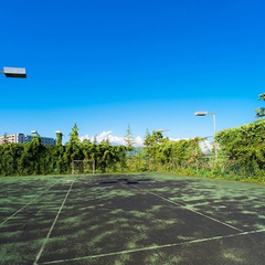 Санаторий Самшитовая роща, Пицунда